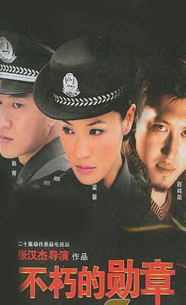 电视剧勋章在线观看,荣耀岁月，热血征程  第3张