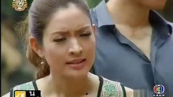 迷电视剧在线观看国语,追剧迷的在线国语盛宴  第2张