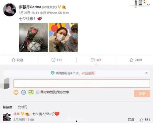 娱乐大爆料林峯视频,娱乐大爆料背后的精彩瞬间  第1张