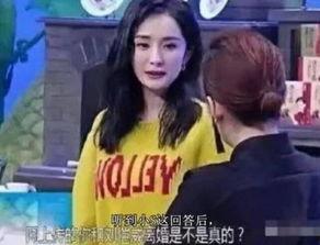 卓伟爆料过杨幂吗视频播放,揭秘娱乐圈背后的真相  第1张