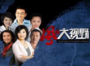 凤凰大视野在线观看,揭秘历史风云，在线观看尽享视听盛宴  第3张
